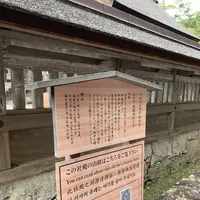 出雲大社の写真・動画_image_322452