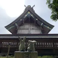 出雲大社の写真・動画_image_322456