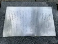 松の参道の写真・動画_image_322466