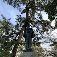 松の参道の写真・動画_image_322470