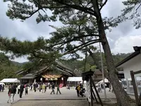 出雲大社の写真・動画_image_322482