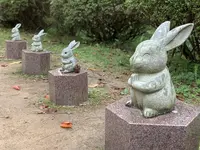 松の参道の写真・動画_image_322487