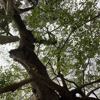 命主社の写真・動画_image_322495