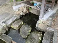 真名井の清水の写真・動画_image_322498