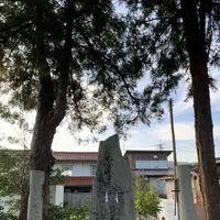 八本杉の写真・動画_image_322529