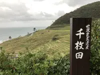 千枚田の写真・動画_image_322550