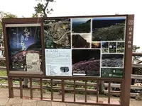 千枚田の写真・動画_image_322552