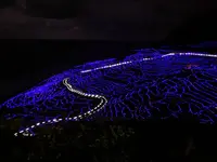 千枚田の写真・動画_image_322553