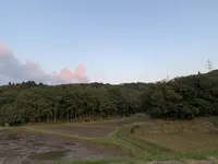 荒神谷遺跡の写真・動画_image_322556