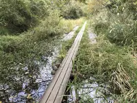 横浜自然観察の森の写真・動画_image_322789