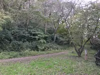 横浜自然観察の森の写真・動画_image_322791