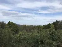 横浜自然観察の森の写真・動画_image_322792