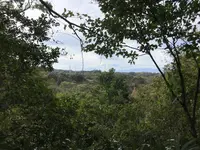 横浜自然観察の森の写真・動画_image_322794