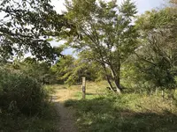 横浜自然観察の森の写真・動画_image_322795