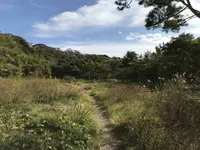 横浜自然観察の森の写真・動画_image_322797