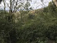 横浜自然観察の森の写真・動画_image_322798