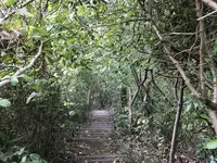 横浜自然観察の森の写真・動画_image_322799