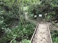 横浜自然観察の森の写真・動画_image_322800