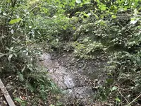 横浜自然観察の森の写真・動画_image_322801