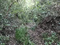 横浜自然観察の森の写真・動画_image_322802