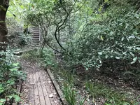 横浜自然観察の森の写真・動画_image_322803