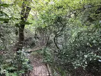 横浜自然観察の森の写真・動画_image_322804