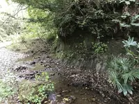 横浜自然観察の森の写真・動画_image_322806