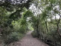 横浜自然観察の森の写真・動画_image_322807