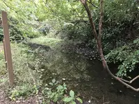 横浜自然観察の森の写真・動画_image_322808