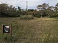 横浜自然観察の森の写真・動画_image_322813