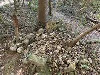 黄泉比良坂の写真・動画_image_323205