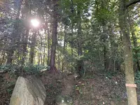 黄泉比良坂の写真・動画_image_323207