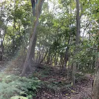 黄泉比良坂の写真・動画_image_323208
