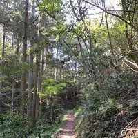 黄泉比良坂の写真・動画_image_323210