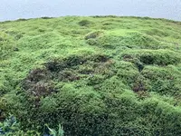 足立美術館の写真・動画_image_323226