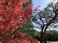 足立美術館の写真・動画_image_323233