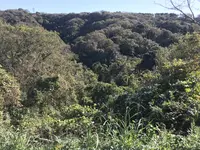 横浜自然観察の森の写真・動画_image_323281