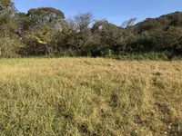 横浜自然観察の森の写真・動画_image_323286