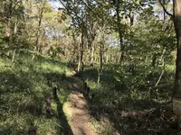 横浜自然観察の森の写真・動画_image_323287