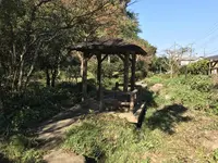 横浜自然観察の森の写真・動画_image_323295