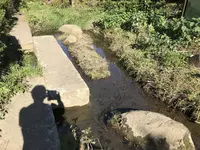 横浜自然観察の森の写真・動画_image_323296