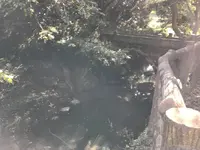 横浜自然観察の森の写真・動画_image_323297