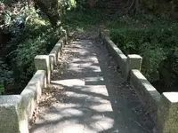 横浜自然観察の森の写真・動画_image_323302
