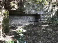 横浜自然観察の森の写真・動画_image_323305