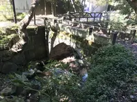 横浜自然観察の森の写真・動画_image_323306