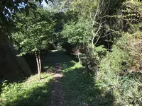 横浜自然観察の森の写真・動画_image_323308