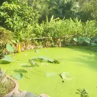 ククリット・ハウスの写真・動画_image_323410