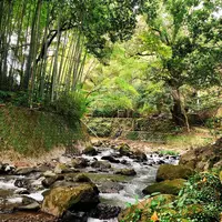 万葉公園の写真・動画_image_323421