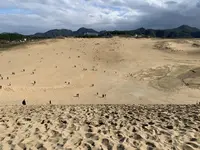 鳥取砂丘の写真・動画_image_323692