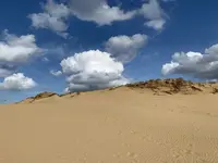 鳥取砂丘の写真・動画_image_323696